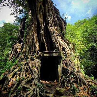 The Forest Temple was most notable for the trees that had used the brick towers as shortcuts to great heights.