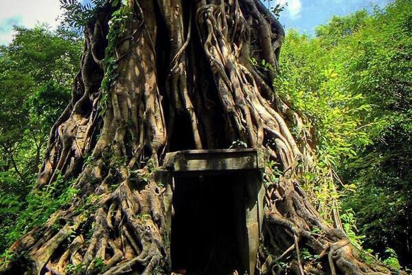 The Forest Temple was most notable for the trees that had used the brick towers as shortcuts to great heights.