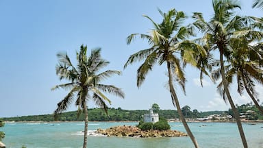 Dixcove