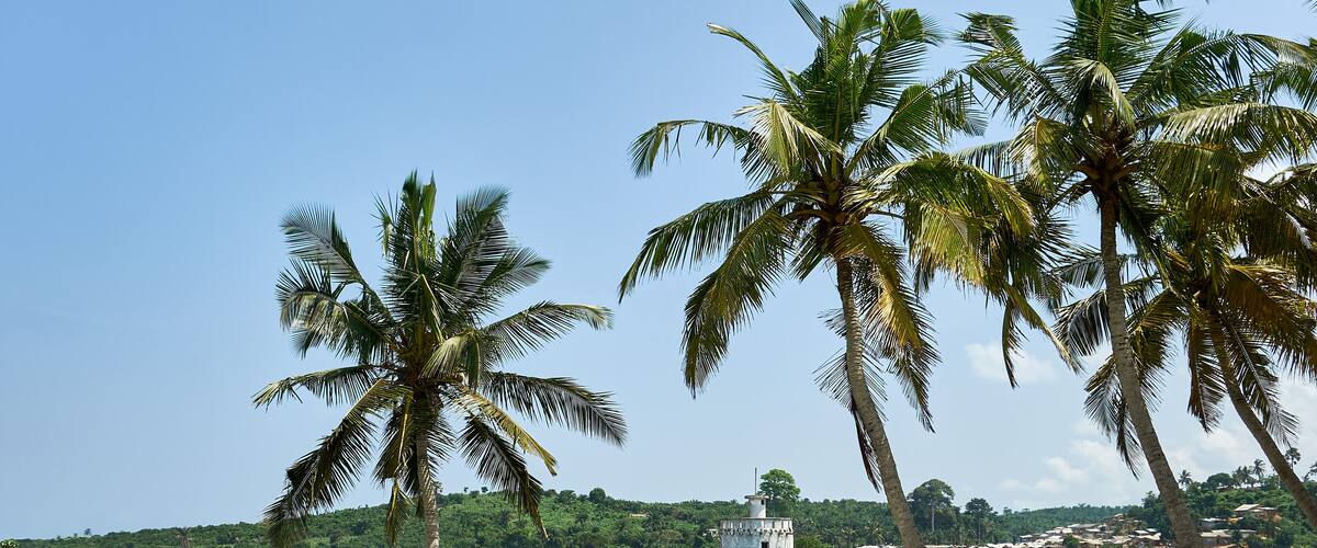 A coastal scene with palm trees, a small lighthouse, and rocky outcrops.