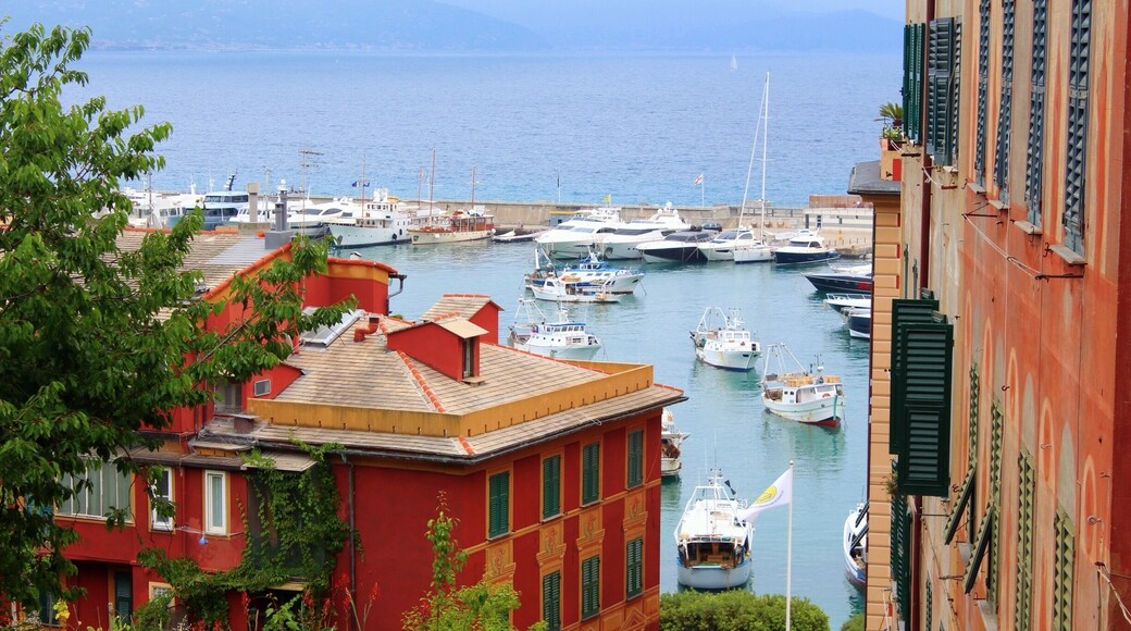 View from the steps going to the church