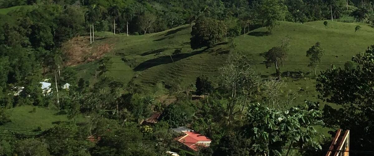 A lush green landscape with rolling hills, scattered houses, and a cloudy sky.