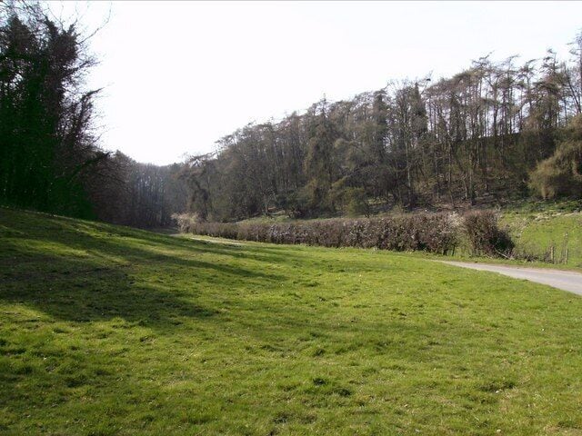 Valley contrasts In light and shade as well as foliage. Just before the eastern exit the valley opens out, and it is believed that glaciers were responsible for forming this spectacular feature.