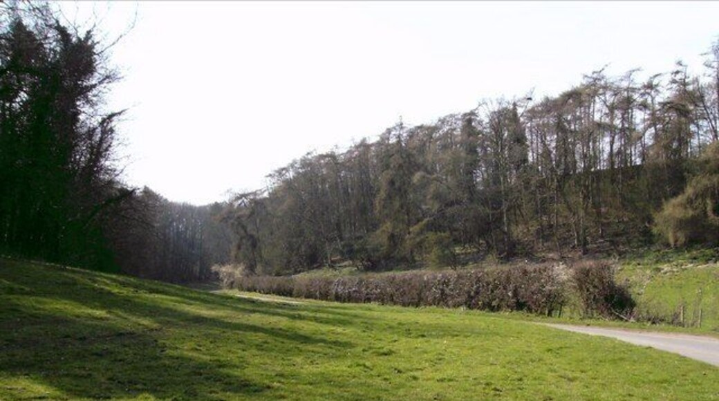 Valley contrasts In light and shade as well as foliage. Just before the eastern exit the valley opens out, and it is believed that glaciers were responsible for forming this spectacular feature.
