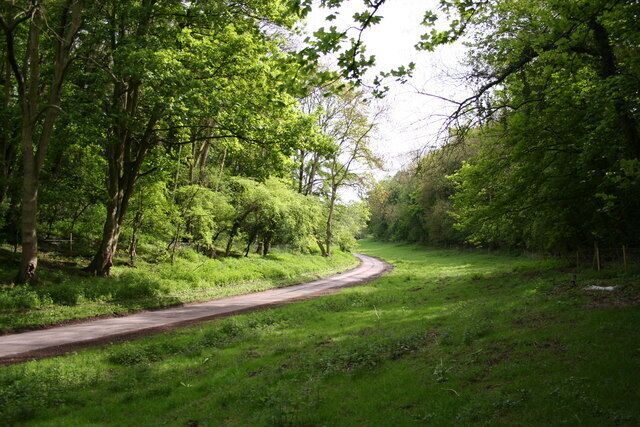 Ravendale. A narrow road snakes through the delightful wooded valley of Ravendale