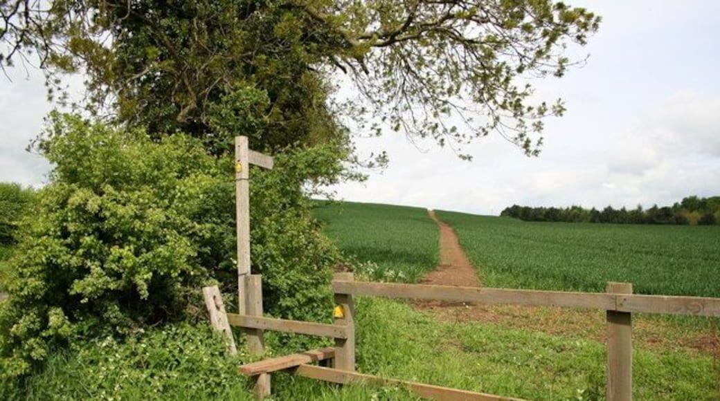 Footpath to Beelsby. Looking north west along the footpath from Hatcliffe to Beelsby