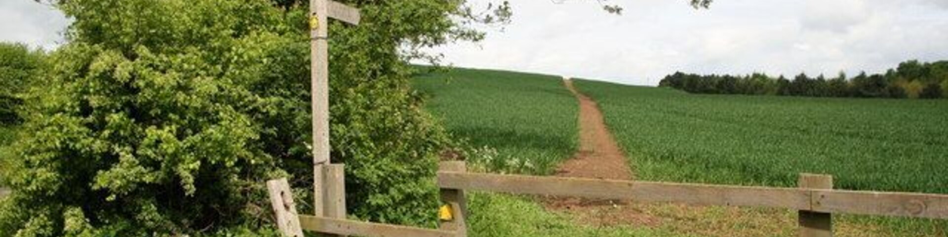 Footpath to Beelsby. Looking north west along the footpath from Hatcliffe to Beelsby