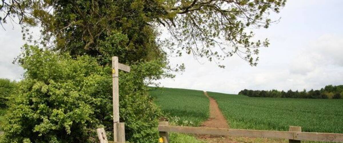 A rural landscape with a wooden gate, a dirt path, and a field.