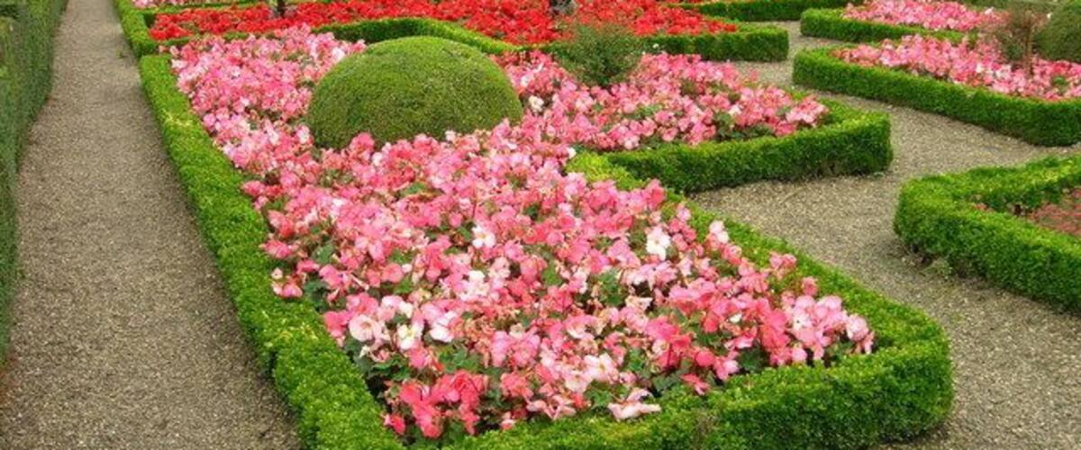 Summer Bedding, Sewerby Hall gardens, Sewerby, East Riding of Yorkshire, England. Attractive display surrounded by dwarf box hedging.