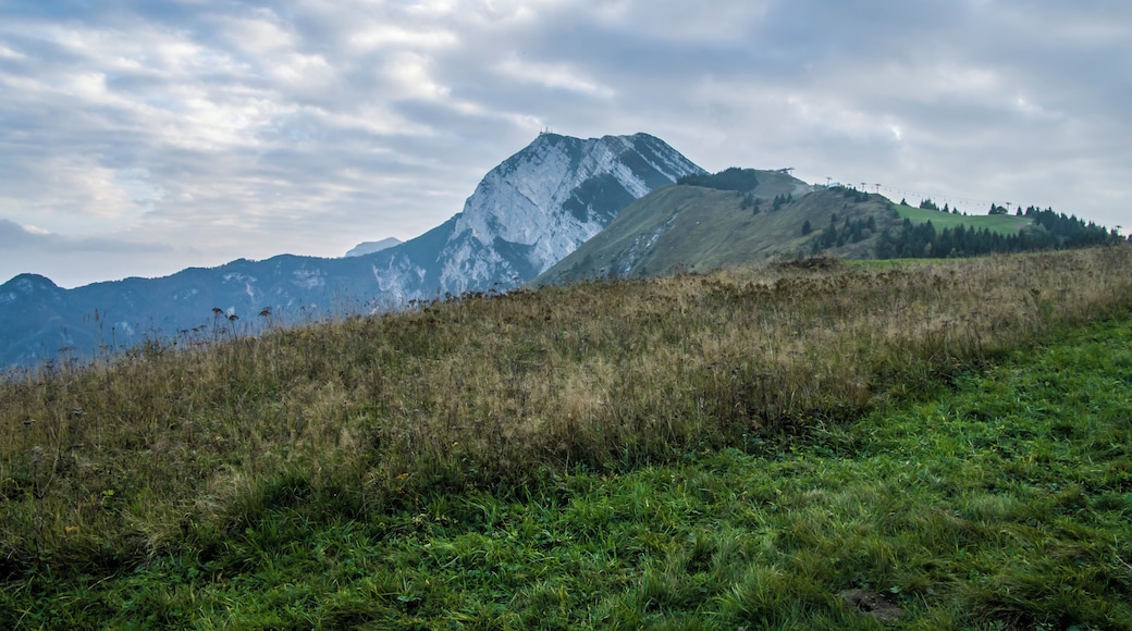 Trent, Province of Trento, Italy