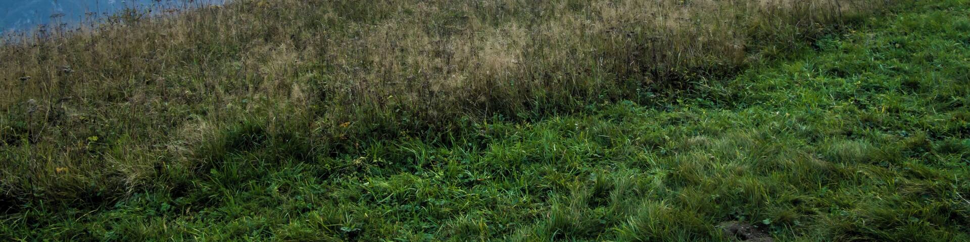 Trent, Province of Trento, Italy