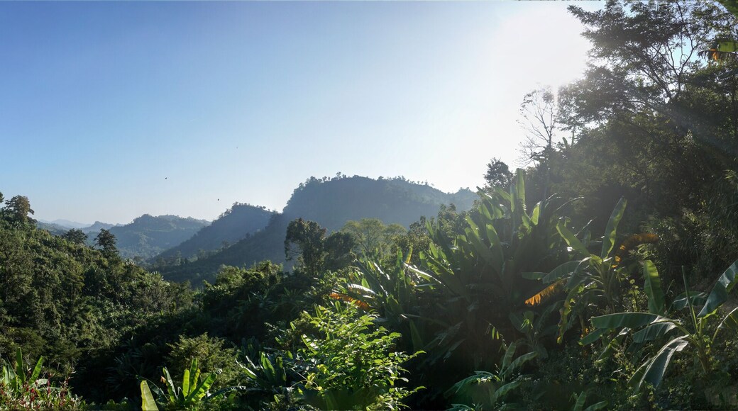 panorama of a hiking trail in bandarban bangladesh
