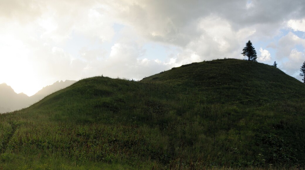 Parco naturale Paneveggio - Pale di San Martino (Q267909)