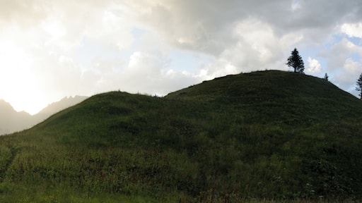 Parco naturale Paneveggio - Pale di San Martino (Q267909)