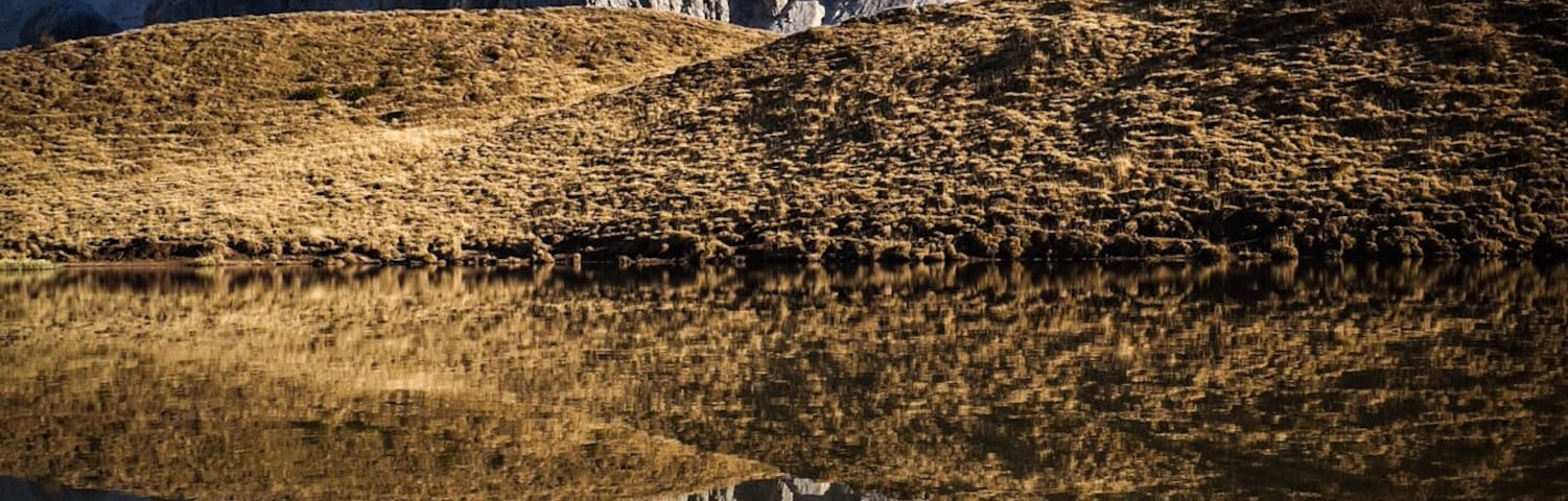 Pale di San Martino: Focobon, Pape - San Lucano, Agner - Croda Granda (Q49963040)