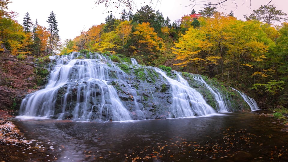 A waterfall cascading over rocks into a pool surrounded by autumn-colored trees.