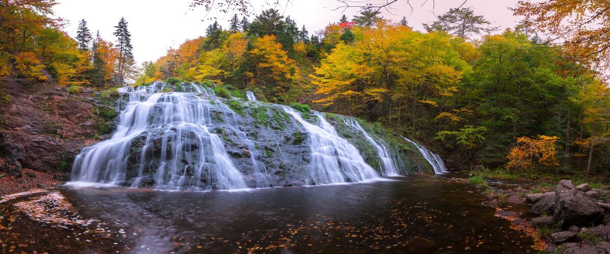 A waterfall cascading over rocks into a pool surrounded by autumn-colored trees.