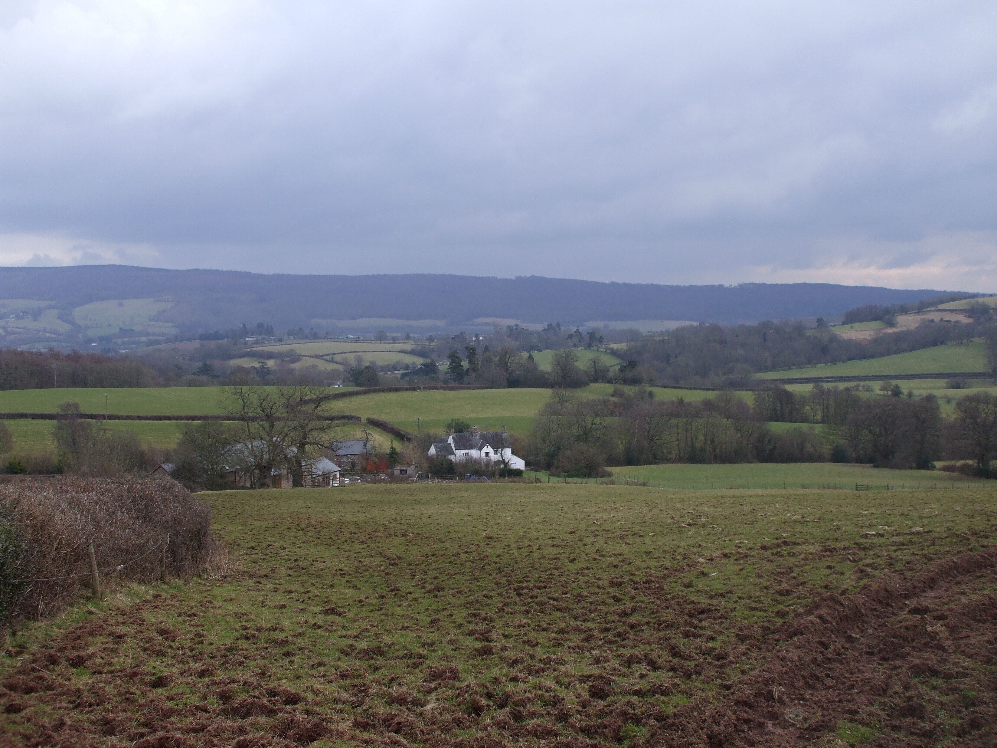 View over Ton Farm, Llangybi
