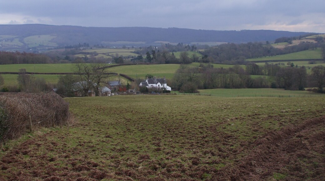 View over Ton Farm, Llangybi