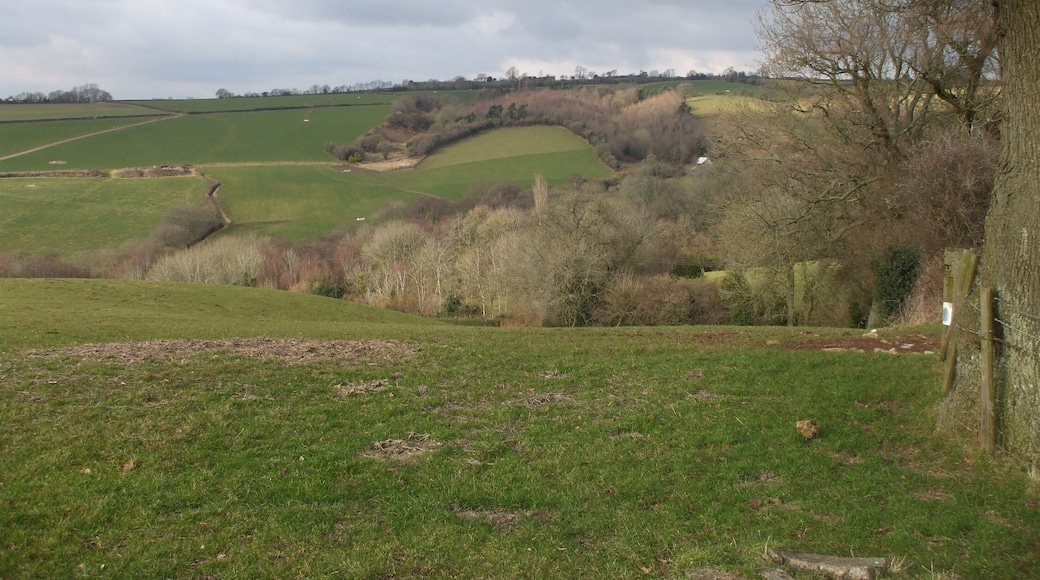 View from Penyglog Rd, Llandegveth