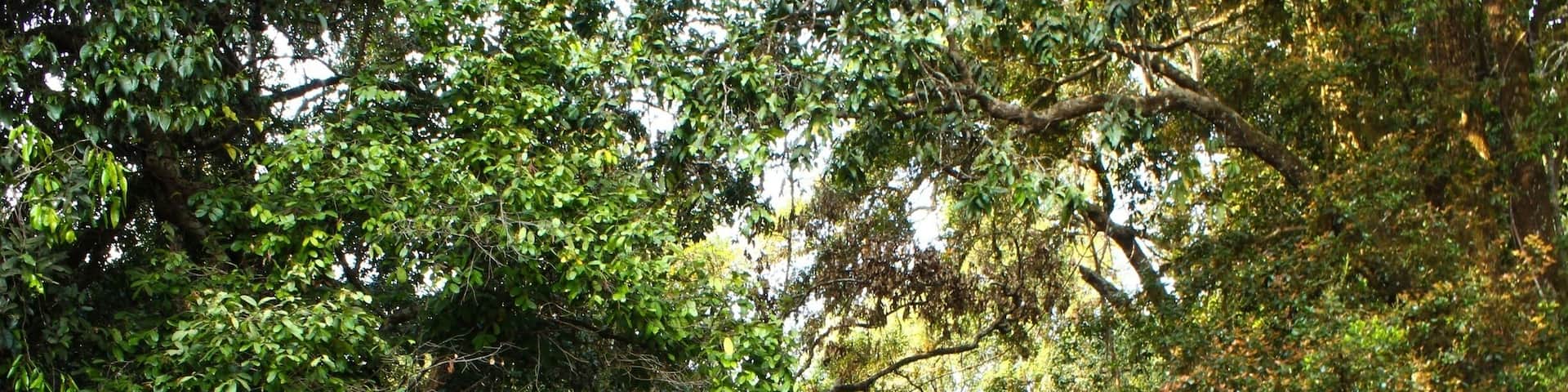 This is a lesser known spot of this beautiful falls in shimoga district of karnataka. #reflections