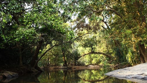 This is a lesser known spot of this beautiful falls in shimoga district of karnataka. #reflections