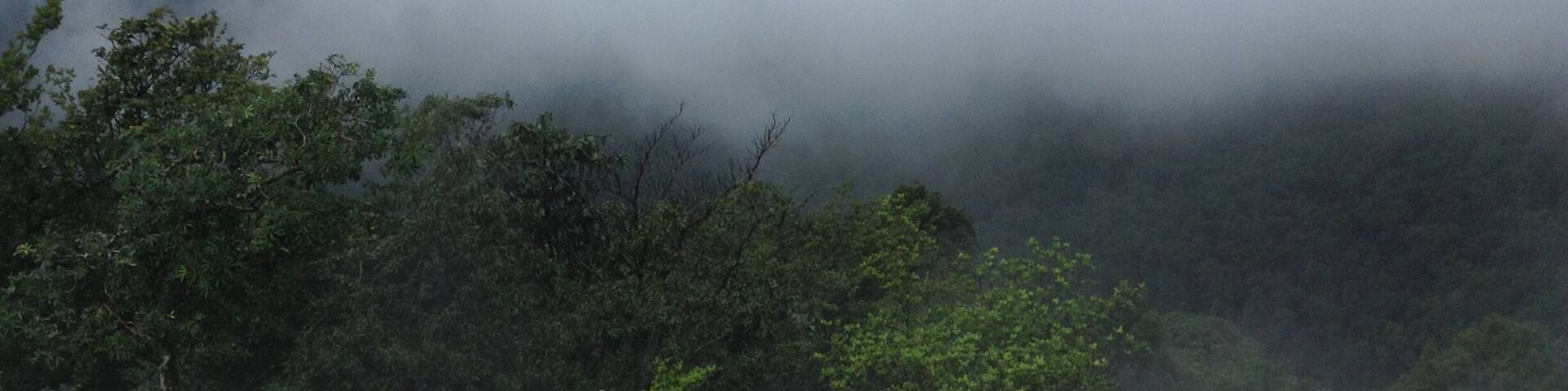 Best place to get lost in nature.