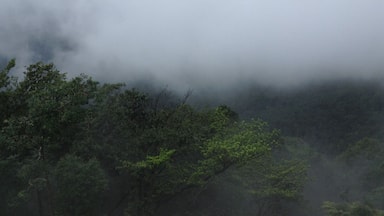 Best place to get lost in nature.