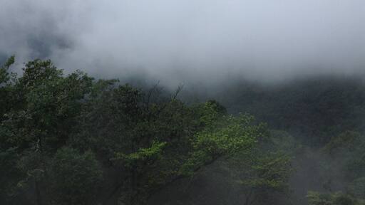 Best place to get lost in nature.