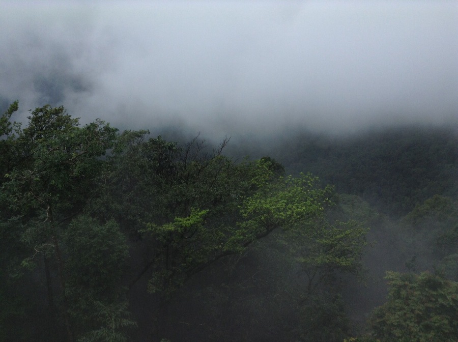 Best place to get lost in nature.