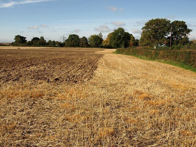 Field north of Upcott. Taken from near the right-hand corner of the field shown in 1000738. Footpath T 3/17 leaves by a gate near the trees on the right.