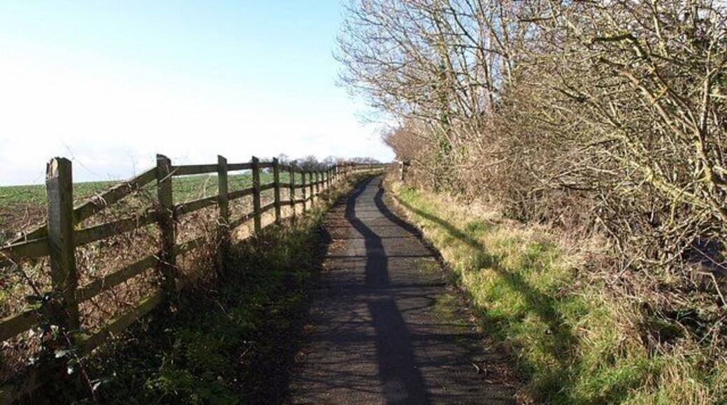 Roadside path near Langford The A358 is behind the trees on the right. The path provides a safe route alongside the main road for pedestrians to Norton Manor Camp.