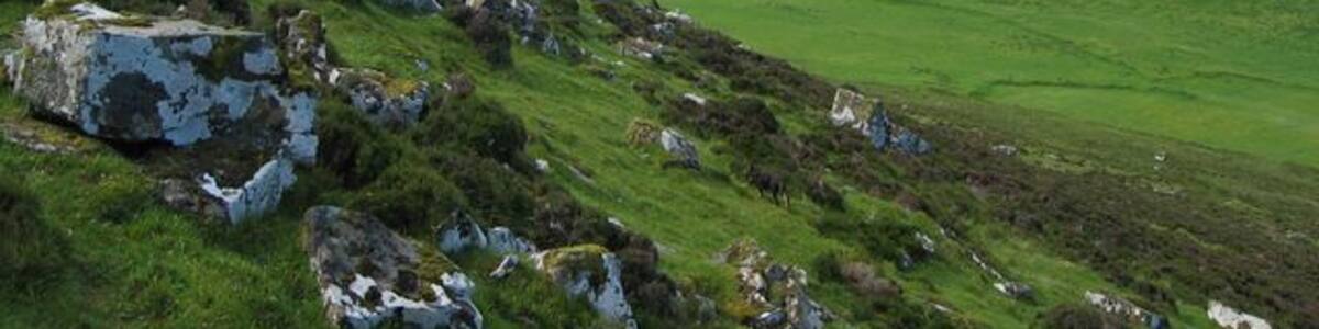 Slopes of Bealach Cumhang. Boulders dislodged from a crag on the western slope of Bealach Cumhang. View beyond to the mouth of Loch Portree and the distant Cuillin.