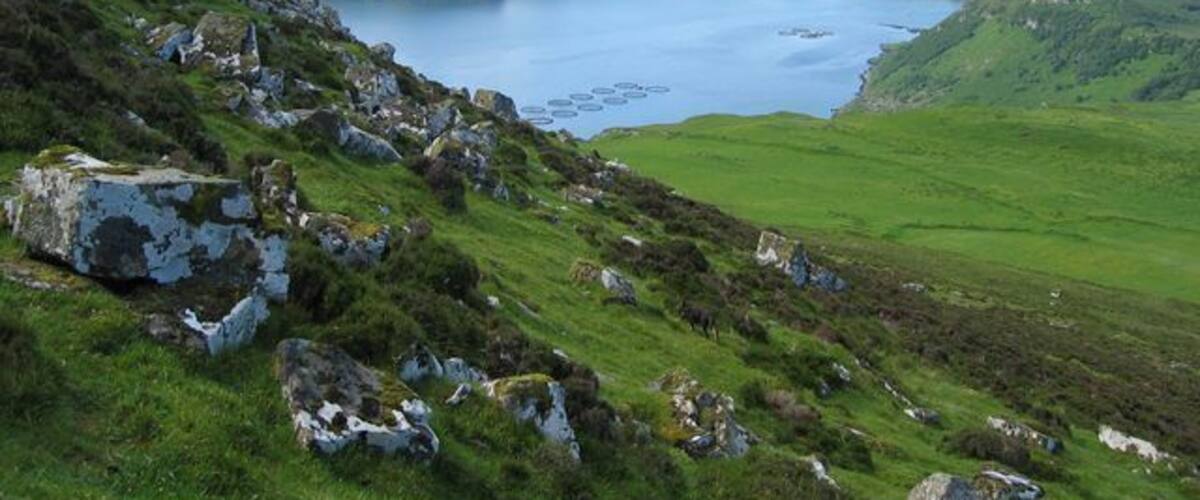 Slopes of Bealach Cumhang. Boulders dislodged from a crag on the western slope of Bealach Cumhang. View beyond to the mouth of Loch Portree and the distant Cuillin.