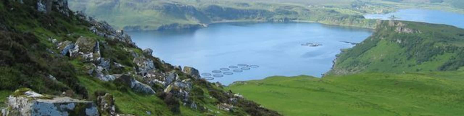 Slopes of Bealach Cumhang. Boulders dislodged from a crag on the western slope of Bealach Cumhang. View beyond to the mouth of Loch Portree and the distant Cuillin.