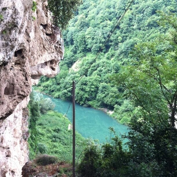 A river flowing through a forested valley with a rocky cliff on the left.
