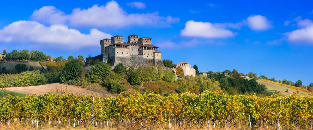 A castle on a hill with vineyards in the foreground.