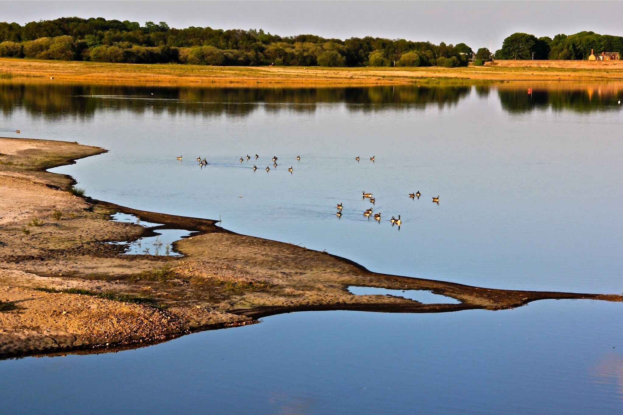Beautiful n awesome park -Chase water Park that only locals Abd birds watchers paradise #England  #reflections #hiking #travel #landscape #nature #water #nationalpark