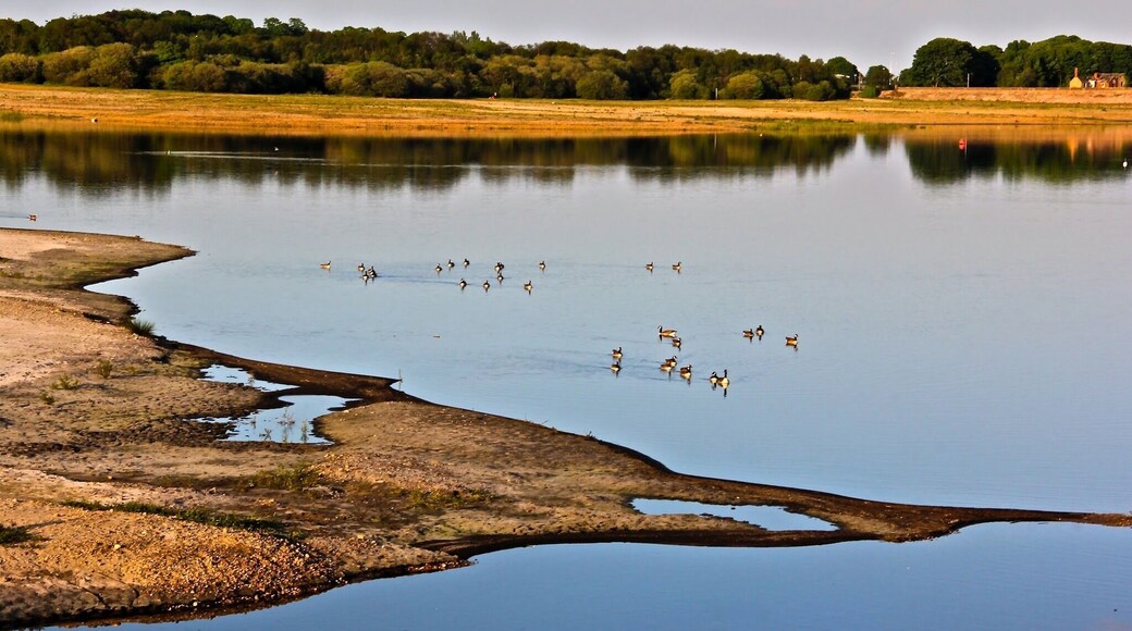 Beautiful n awesome park -Chase water Park that only locals Abd birds watchers paradise #England #reflections #hiking #travel #landscape #nature #water #nationalpark