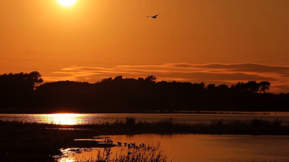Sunset at Chase Water Park - it is soo peaceful n serene #reflections #England #travel #water #nature #nationalpark #hiking