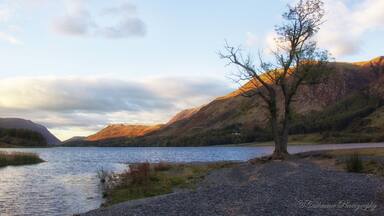 A pretty English country side - Buttermere, Lake District. A great place for picnic, family gatherings, hiking. #nationalpark #england #hiking #beachtips #travel #landscape #water #nature