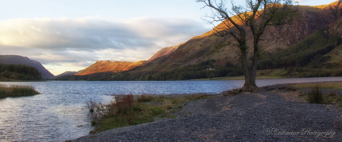 A lake surrounded by mountains, a clear sky, and a single tree on the shore.