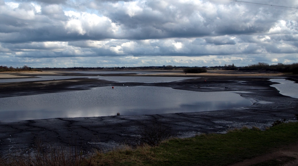 Chasewater Reservoir drained for maintenance. Slightly shocking when you first see it, the "Pool" has been drained for maintenance work to be carried out on the dam which has been concerning engineers due to its age. Because of the limited number of streams feeding water it will be many years before the level returns to normal.