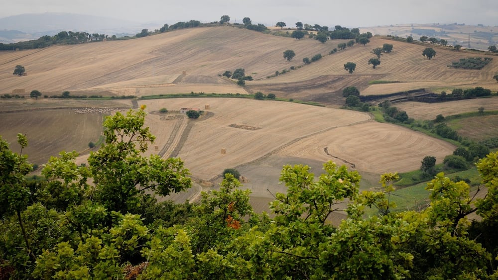 The rolling hills of southern Italy.