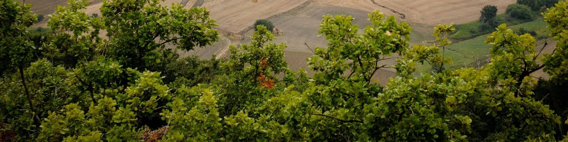 The rolling hills of southern Italy.