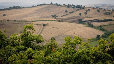 The rolling hills of southern Italy.