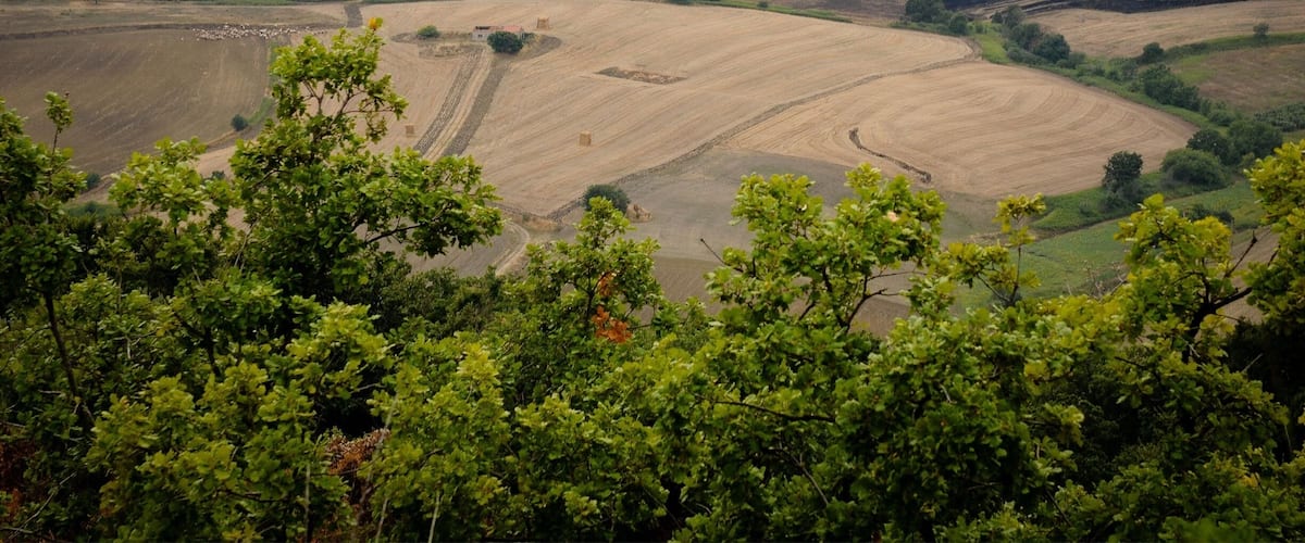 Rolling hills with agricultural fields and scattered trees.