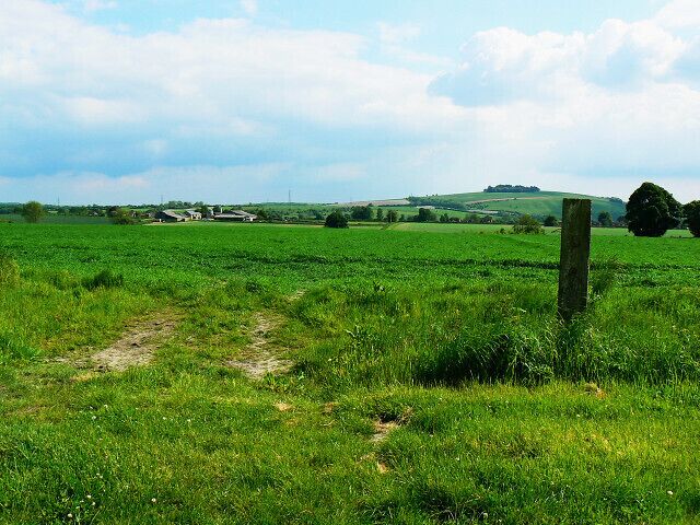 Farmland, Easton Royal Conygre Farm is visible at the left. The high ground in the distance is Easton Clump, two kilometres away.