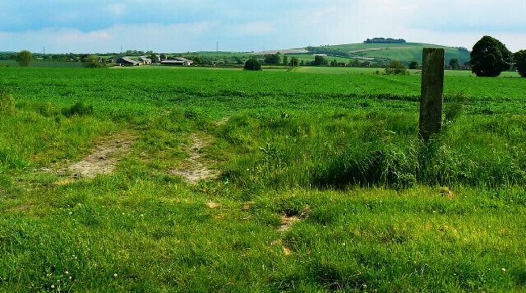 Farmland, Easton Royal Conygre Farm is visible at the left. The high ground in the distance is Easton Clump, two kilometres away.