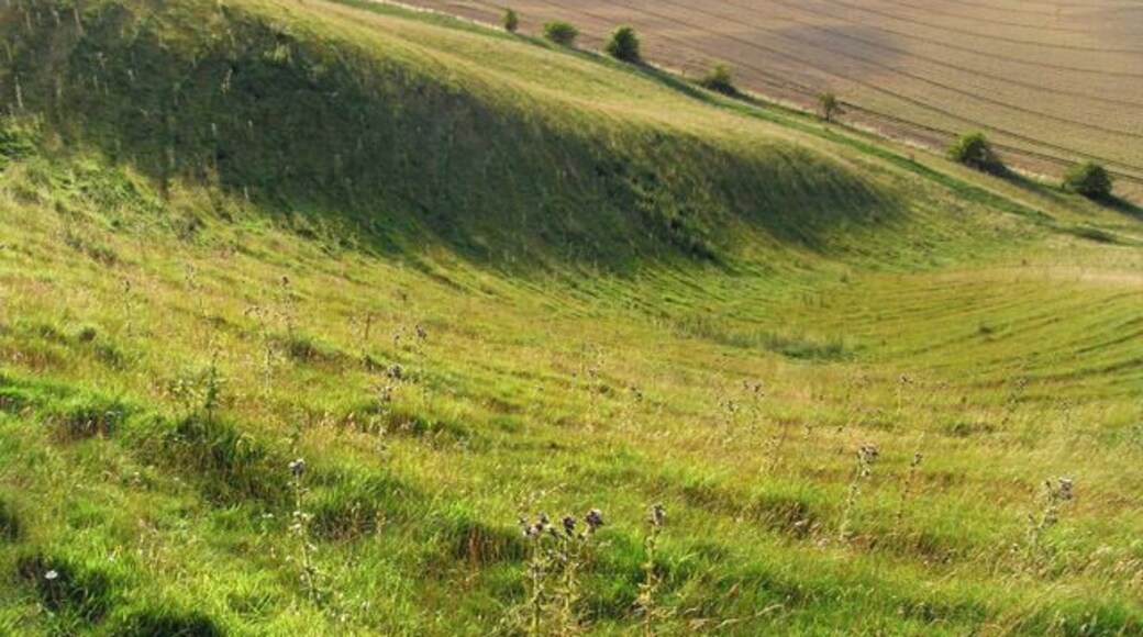 Downland, Easton Royal The view over arable fields from the scarp above the village.